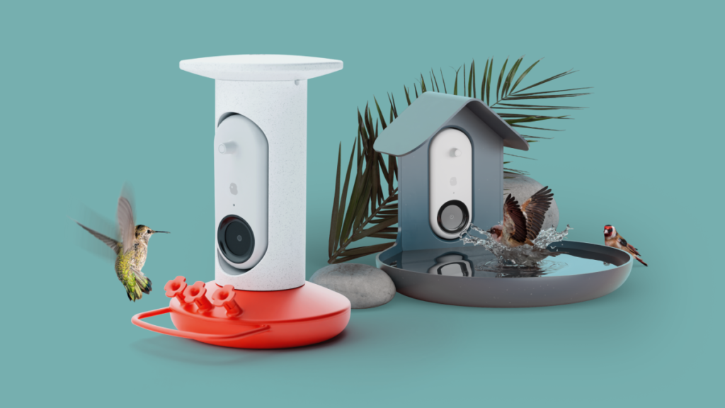 Bird Buddy présente une mangeoire et un bain pour colibris intelligents alimentés par l’IA