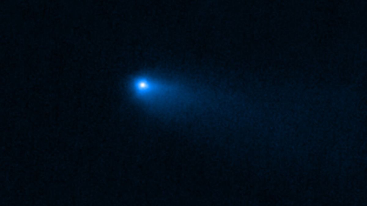 La comète s'appelle 238P/Read.
