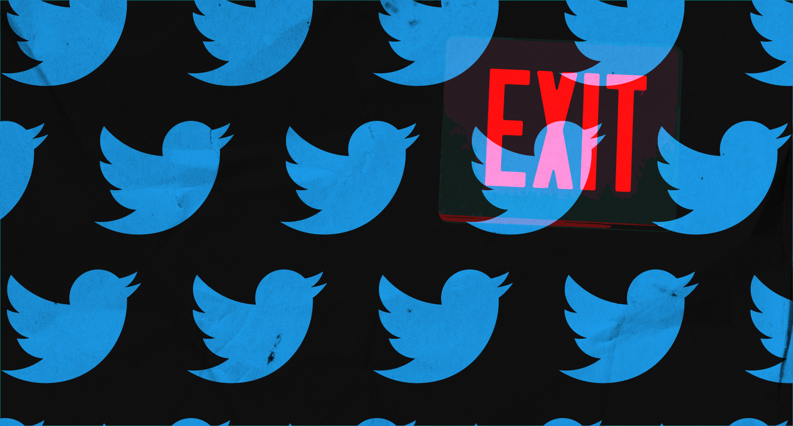 twitter bird logo pattern overlaid with exit sign