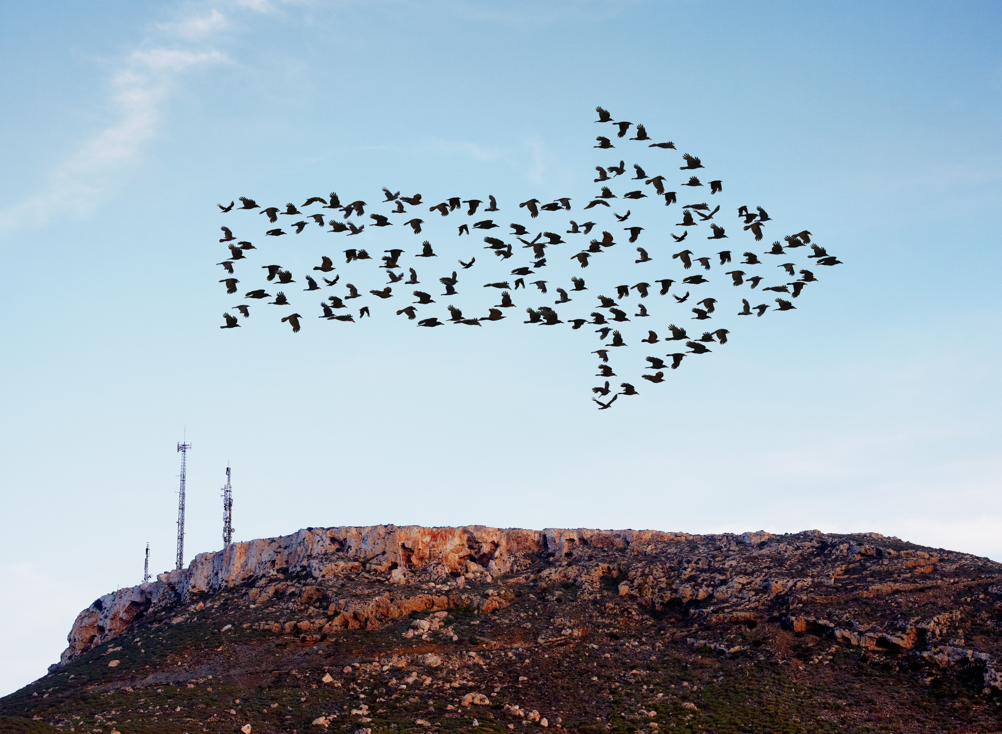 volée d'oiseaux formant une flèche volant au-dessus d'une colline